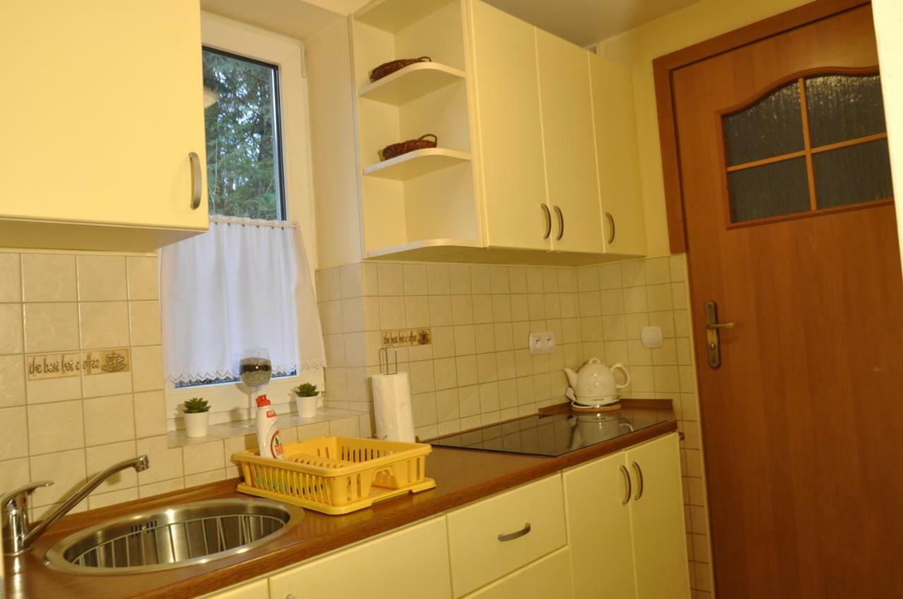Apartamenty Sobiczkowa Wyspa Koscielisko Luaran gambar