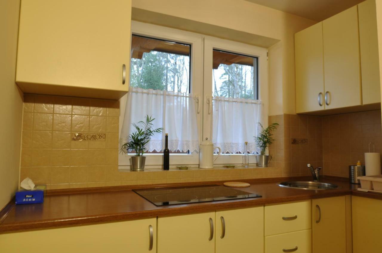 Apartamenty Sobiczkowa Wyspa Koscielisko Luaran gambar