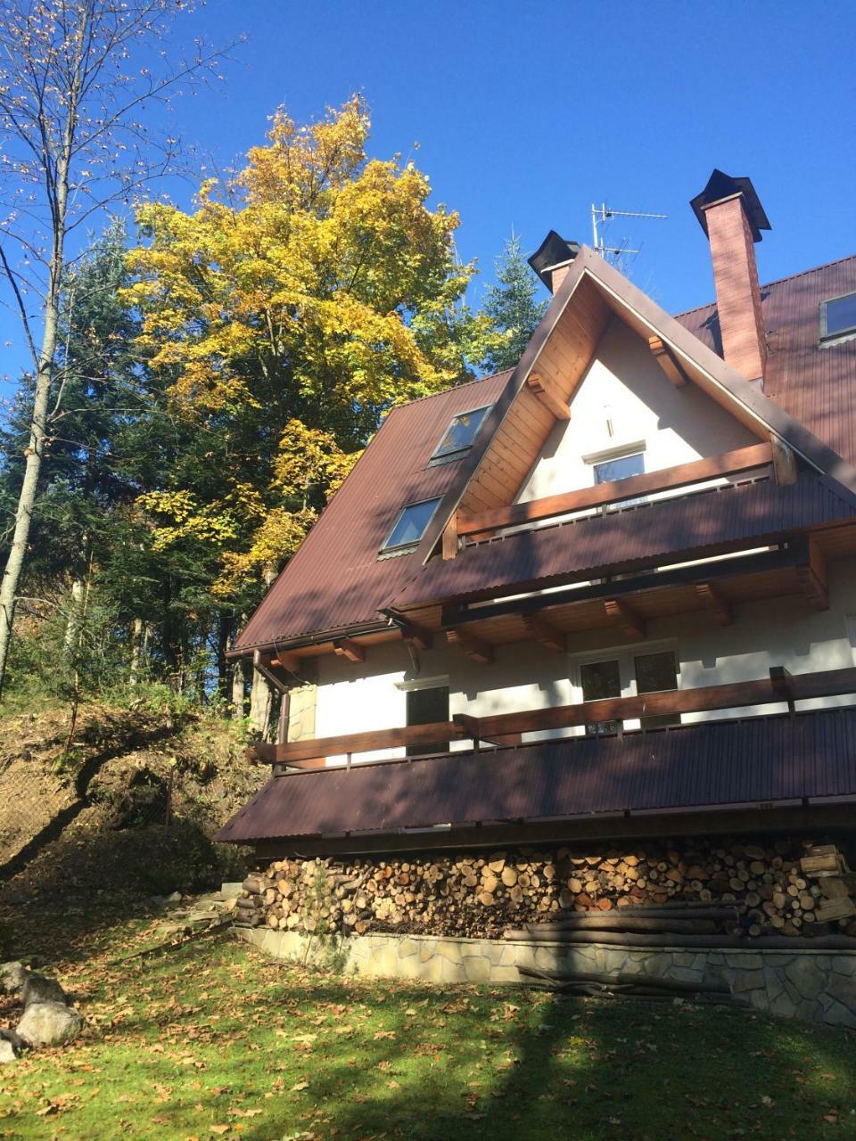 Apartamenty Sobiczkowa Wyspa Koscielisko Luaran gambar