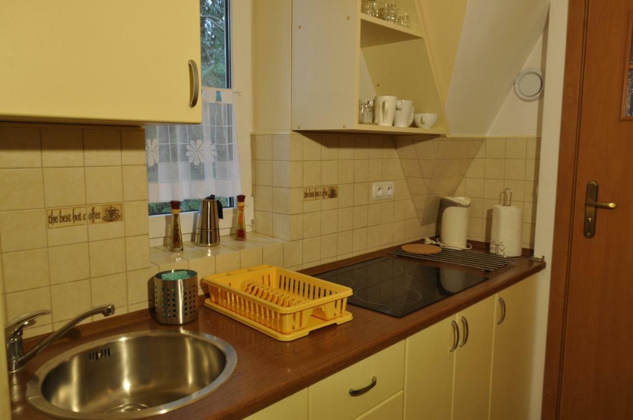 Apartamenty Sobiczkowa Wyspa Koscielisko Luaran gambar